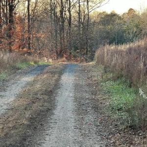 Photo #32 of 8184 FOX GROVES RD, REMINGTON, VA 1,233.2 acres