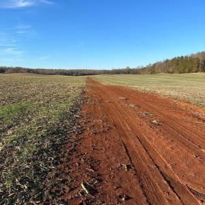 Photo #33 of 8184 FOX GROVES RD, REMINGTON, VA 1,233.2 acres