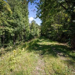 Photo #22 of OVERLOOK MOUNTAIN ROAD (6.67ACRES), ELKTON, VA 6.7 acres