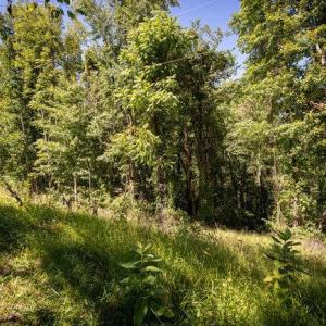 Photo #25 of OVERLOOK MOUNTAIN ROAD (6.67ACRES), ELKTON, VA 6.7 acres