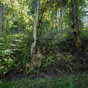 Photo #26 of OVERLOOK MOUNTAIN ROAD (6.67ACRES), ELKTON, VA 6.7 acres