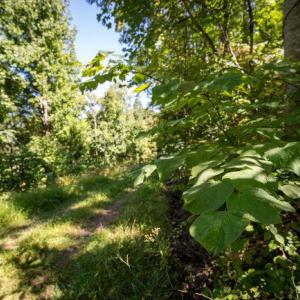 Photo #27 of OVERLOOK MOUNTAIN ROAD (6.67ACRES), ELKTON, VA 6.7 acres