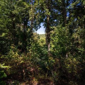 Photo #29 of OVERLOOK MOUNTAIN ROAD (6.67ACRES), ELKTON, VA 6.7 acres