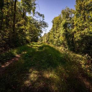 Photo #30 of OVERLOOK MOUNTAIN ROAD (6.67ACRES), ELKTON, VA 6.7 acres