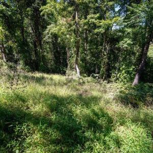 Photo #31 of OVERLOOK MOUNTAIN ROAD (6.67ACRES), ELKTON, VA 6.7 acres