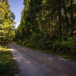 Photo #33 of OVERLOOK MOUNTAIN ROAD (6.67ACRES), ELKTON, VA 6.7 acres