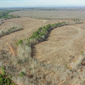 Photo #3 of RIVER MILL RD, RICHARDSVILLE, VA 78.0 acres