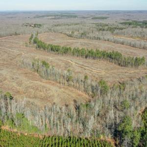 Photo #1 of RIVER MILL RD, RICHARDSVILLE, VA 78.0 acres
