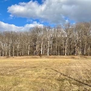 Photo #4 of GENERAL DRIVE, LURAY, VA 1.0 acres