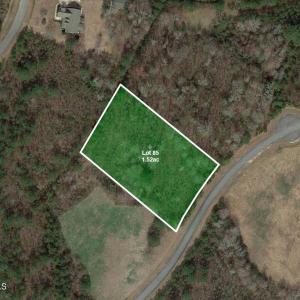 Eagletrace-Lot85-Satellite1