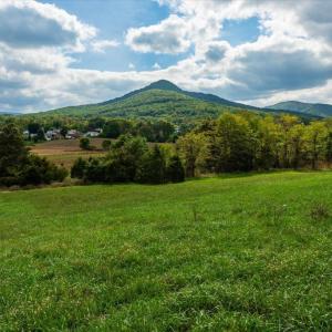 Photo #14 of JUDY LANE, STANLEY, VA 71.0 acres