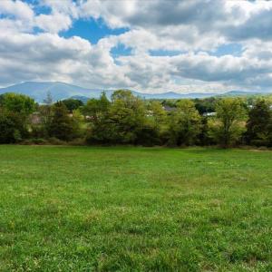 Photo #15 of JUDY LANE, STANLEY, VA 71.0 acres