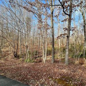 Photo #4 of OAKMONT DR, GORDONSVILLE, VA 0.4 acres