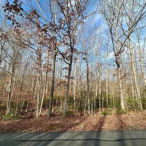 Photo #5 of OAKMONT DR, GORDONSVILLE, VA 0.4 acres
