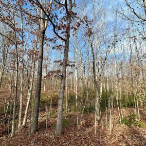 Photo #6 of OAKMONT DR, GORDONSVILLE, VA 0.4 acres