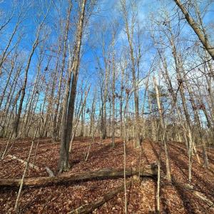 Photo #7 of OAKMONT DR, GORDONSVILLE, VA 0.4 acres