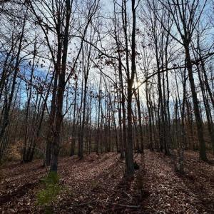 Photo #8 of OAKMONT DR, GORDONSVILLE, VA 0.4 acres