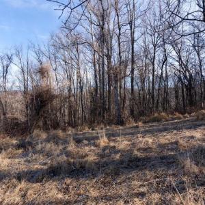 Photo #1 of OVERLOOK MOUNTAIN, ELKTON, VA 3.0 acres