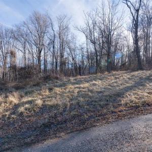 Photo #2 of OVERLOOK MOUNTAIN, ELKTON, VA 3.0 acres