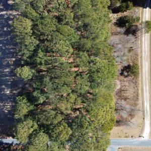 Photo #7 of 1 SCARBOROUGH LANE, BELLE HAVEN, VA 60,113.0 acres