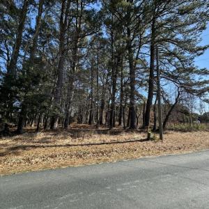 Photo #8 of 1 SCARBOROUGH LANE, BELLE HAVEN, VA 60,113.0 acres