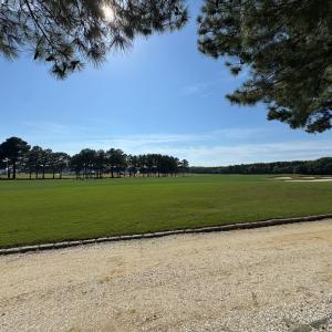 VIEW FROM BACK OF THE LOT