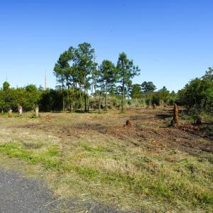 Photo #5 of Lot 19E OAK DR, CHINCOTEAGUE, VA 15,168.0 acres