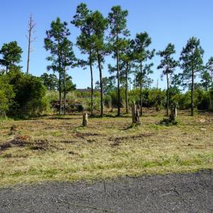 Photo #3 of Lot 19E OAK DR, CHINCOTEAGUE, VA 15,168.0 acres