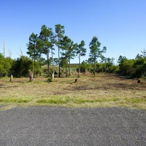 Photo #4 of Lot 19E OAK DR, CHINCOTEAGUE, VA 15,168.0 acres