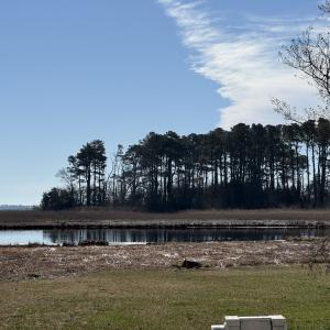 Photo #2 of Lot 147 SEA MIST CT, HORNTOWN, VA 0.1 acres