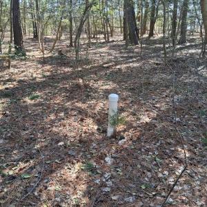 Photo #10 of Lot H HOLLY SHORES LN, HACKSNECK, VA 3.6 acres