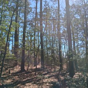 Photo #11 of Lot H HOLLY SHORES LN, HACKSNECK, VA 3.6 acres