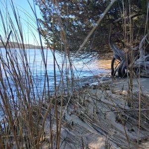 Photo #14 of Lot H HOLLY SHORES LN, HACKSNECK, VA 3.6 acres