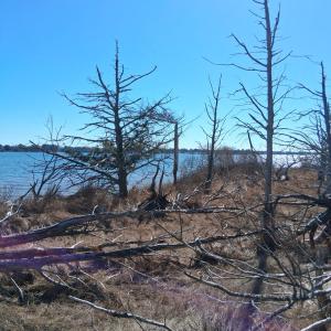 Photo #16 of Lot H HOLLY SHORES LN, HACKSNECK, VA 3.6 acres