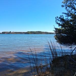 Photo #3 of Lot H HOLLY SHORES LN, HACKSNECK, VA 3.6 acres