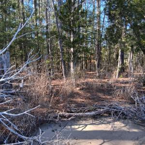 Photo #6 of Lot H HOLLY SHORES LN, HACKSNECK, VA 3.6 acres