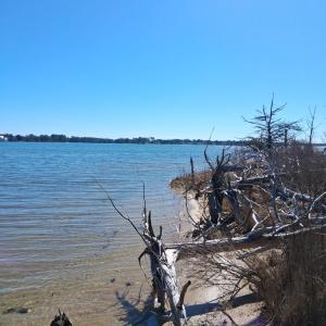 Photo #8 of Lot H HOLLY SHORES LN, HACKSNECK, VA 3.6 acres