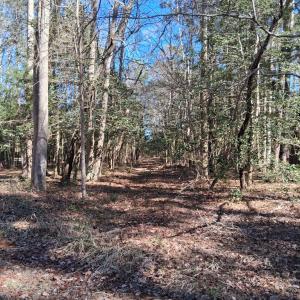 Photo #9 of Lot H HOLLY SHORES LN, HACKSNECK, VA 3.6 acres