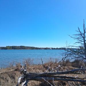 Photo #15 of Lot H HOLLY SHORES LN, HACKSNECK, VA 3.6 acres