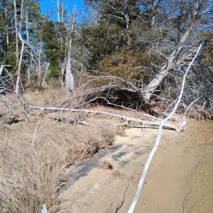 Photo #18 of Lot H HOLLY SHORES LN, HACKSNECK, VA 3.6 acres