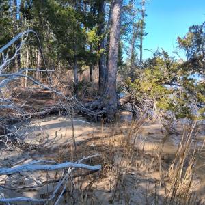 Photo #5 of Lot H HOLLY SHORES LN, HACKSNECK, VA 3.6 acres