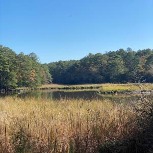 Photo #2 of lot 2 TERRAPIN STATION RD, BELLE HAVEN, VA 3.1 acres