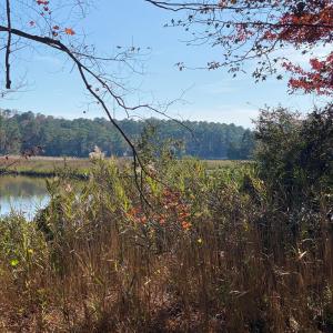 Photo #3 of lot 2 TERRAPIN STATION RD, BELLE HAVEN, VA 3.1 acres