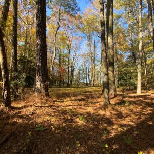 Photo #6 of lot 2 TERRAPIN STATION RD, BELLE HAVEN, VA 3.1 acres