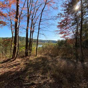Photo #7 of lot 2 TERRAPIN STATION RD, BELLE HAVEN, VA 3.1 acres