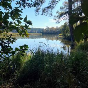 Photo #8 of lot 2 TERRAPIN STATION RD, BELLE HAVEN, VA 3.1 acres