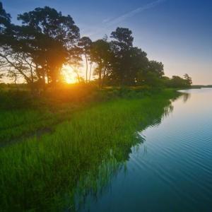 Photo #8 of 241 MUIRFIELD DRIVE, CAPE CHARLES, VA 0.2 acres