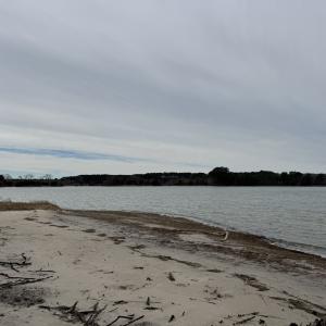 Neighboring Lot, Shows sandy beach potential.