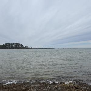 Waterfront