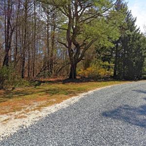 road leading to homesite